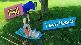 Making a lawn repair in fall with results [upl. by Enalb]