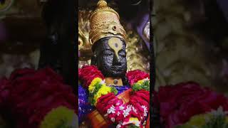 Vittal vittal Jay hari vittal godsong bhaktisong vittala love musicsong viralvideo [upl. by Misaq]