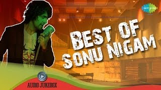 Best of Sonu Nigam  Panchi Nadiya Pawan Ke  Bollywood Romantic Songs Audio Jukebox [upl. by Neirrad]