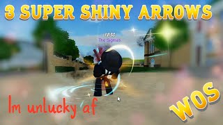 USING 3 SUPER SHINY ARROWS  Roblox World of Stands [upl. by Docilu]