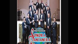 SONORA SANTANERA MIX 2014 [upl. by Nariko]