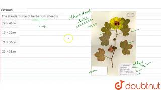 The standard size of herbarium sheet is [upl. by Nitsirk181]