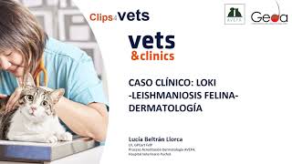 46 C4Vets LOKI caso clinico leishmaniosis felina [upl. by Thaine980]