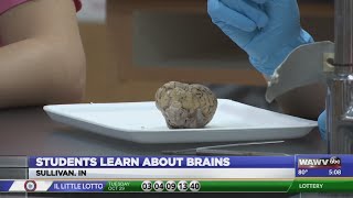 Sullivan Middle School students get handson experience with the brain [upl. by Mcripley378]