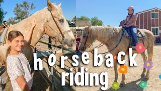 RIDING A NEW PONY FOR THE FIRST TIME  GoPro Horse Riding Vlog [upl. by Eilrac132]