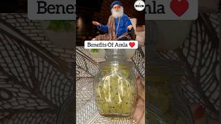 Best Way To Eat Amla Suggested By Sadhguru ♥️ shorts [upl. by Aical929]