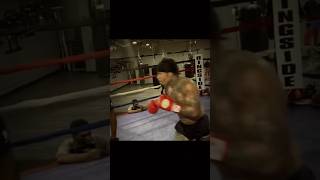 Tank Davis Perfection boxing [upl. by Enois589]