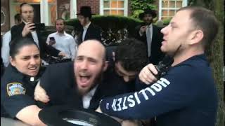 Hachnosas Sefer Torah Ends In NYPD Making Arrests [upl. by Einneg252]