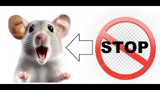 energetic rodent repellent  rats do not tolerate the frequency and run away [upl. by Avron]