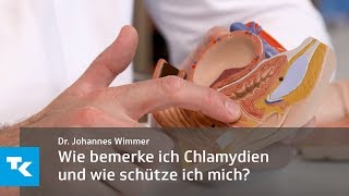 Wie bemerke ich Chlamydien und wie schütze ich mich  Dr Johannes Wimmer [upl. by Colwen]