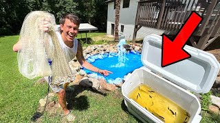 Cast Netting Fish for BackYard TINY POND [upl. by Nwatna]