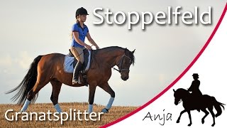 Ich reite Granatsplitter auf dem Stoppelfeld [upl. by Ute]