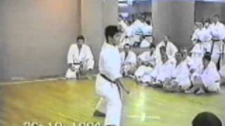 Hirokazu Kanazawa  Seminar 1994  Sochin [upl. by Dilly]