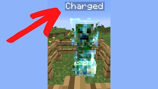 SECRET Minecraft name tag TRICKS [upl. by Yssac]