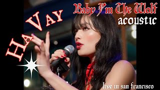 Baby Im The Wolf  Acoustic Live in San Francisco [upl. by Astrahan]