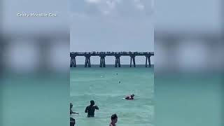 Terrifying Shark at Navarre Beach in Florida [upl. by Grishilde]