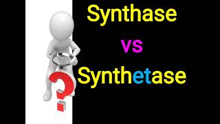 Synthase vs Synthetase [upl. by Earle817]