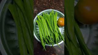 Kottavarangaibanuammachigarden harvesting [upl. by Nicola]