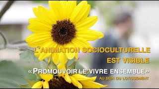 Lanimation socioculturelle est visible au sein du lotissement 23 [upl. by Nnaid]