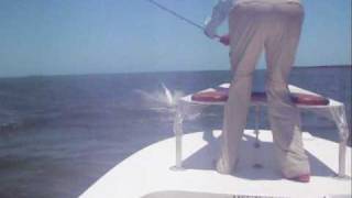 Tarpon Fly Fishing  Crazy Jumping Fish [upl. by Nwahsal]