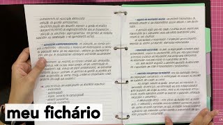 Como eu organizo meu fichário  dicas para organizar e decorar o seu [upl. by Eteragram]