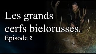 Les grands cerfs biélorusses Episode 2 [upl. by Adest]