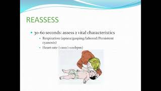 Newborn Resuscitation Program NRP Overview Pediatrics lecture for MBBS [upl. by Izzy867]