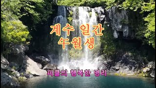 십간론 51 🤽‍♀️ 계수 일간 오午월생  피클의 행복한 명리 [upl. by Armillas]