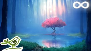 Deep Relaxing Music • Meditation Music Sleep Music Ambient Music [upl. by Agate]