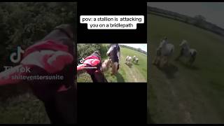 stallion attacking mare on a hack 😱🐴 equestrain shortvideos youtube viral [upl. by O'Dell425]