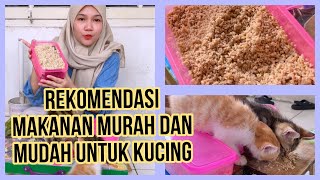 CARA KASIH MAKAN KUCING TEMPE  REKOMENDASI MAKANAN MURAH MUDAH DAN SEHAT UNTUK ANABUL [upl. by Nairot]