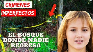 Crimenes Imperfectos  El Bosque Donde Nadie Regresa  Documental Historia 2024 [upl. by Zarla715]