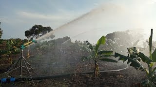 Tractor powered sprinkler irigation system for Bananas and Pasture in Uganda [upl. by Avika]