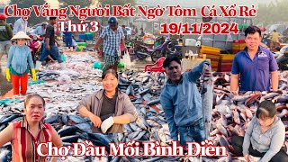 Chợ Vắng Người Cá Tôm Xổ Rẻ Bất Ngờ Sáng Thứ 3  19112024  Chợ Đầu Mối Bình Điền [upl. by Baalman373]