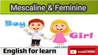 Masculine Feminine in english Masculine Feminine nephew  masculine Feminine for prep class [upl. by Nanreik144]