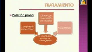 TAQUIPNEA TRANSITORIA DEL RECIEN NACIDO [upl. by Lemkul]