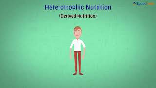 Class7ScienceCh11Nutrition in AnimalsTopic Heterotrophic Nutrition [upl. by Marya52]