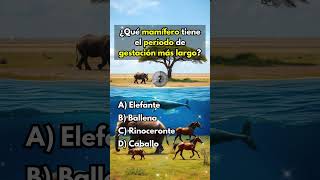 CUÁNTO SABES DEL REINO ANIMAL quiz trivia triviador [upl. by Sumahs]