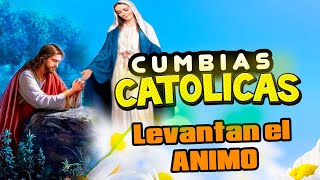 LAS MEJORES ALABANZAS 2023 MUSICA DEL MUNDO CANTOS CATÓLICAS Alabanzas [upl. by Ermengarde707]