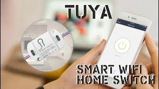 Tuya Smart WIFI Home Switch Works with Alexa Google Home Smart Life [upl. by Marci]