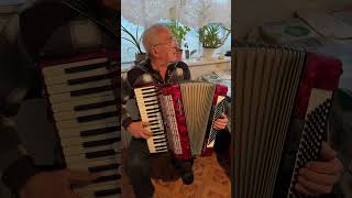 Weltmeister Diana accordion 120 Bass 41 keys 3 voices 53 registers Germany accordion ON SALE [upl. by Yenaj335]