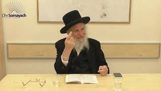 Pesach Haggadah PT 5  Maggid Rabbi Dovid Gottleib Jewish Holidays [upl. by Zetniuq]