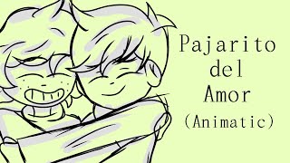 Pajarito Del Amor  Carla Morrison  Animatic [upl. by Cand]