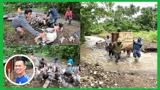 WELCOME SA AREA2PATI PAITLOGAN DINALA NA NAMINMAS MAAYOS NA BAHAY SA MGA KAMBING [upl. by Val]