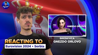 Greek Guy Reacts to BRESKVICA quotGNEZDO ORLOVOquot Pze 2024🇷🇸 Serbia Eurovision 2024 [upl. by Dwain199]