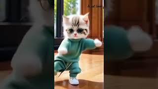 Aha tomato bada maja darCutecatclips vikuinfo shorts trending [upl. by Enyawed]