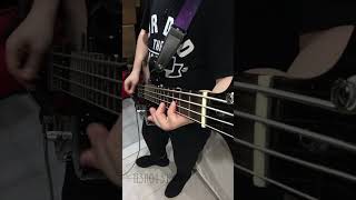 Bullet For My Valentine  Your Betrayal Bass Cover [upl. by Heurlin]