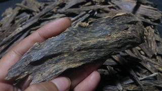 Good grade of Agarwood for Incense العود عود Aloeswood 香 沉香 沈香 伽羅 [upl. by Ellehcirt]