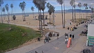 Venice Beach Webcam  Venice Beach Live Cam  venice beach live boardwalk cam [upl. by Abraham]