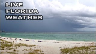 🔴 LIVE IRL  Southwest Florida Weather March 13 2023 [upl. by Adnolehs]